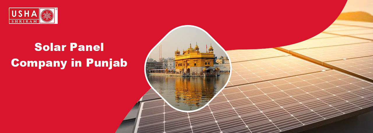 Best Solar Panel Company in Punjab| Usha Solar India